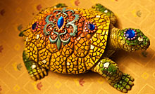 Mini Turtle